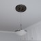 Ekena Millwork Baltimore PVC Medallion (Canopies up to 6 1/2"), 16"OD x 3 1/2"ID x 1"P, Metallic Rustic Mist CMP16BAERU - alternate 6
